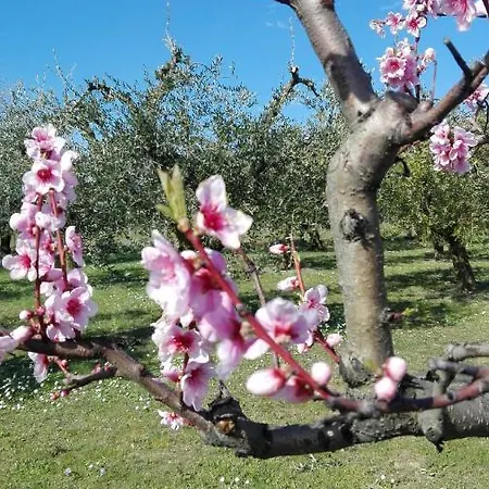 公寓 Bike Friendly Famiglia Belleggia Porto SantʼElpidio