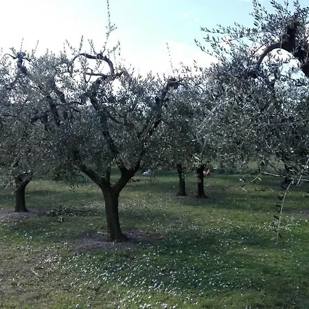 Country House Bike Friendly Famiglia Belleggia Apartment